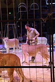 Martin Lacey jr. - kommentierte Raubtierproben am 11.02.2018 (©Foto: Martin Schmitz)